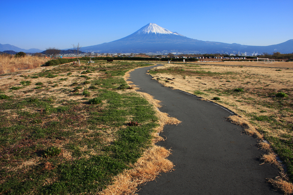 朝の公園