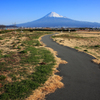 朝の公園