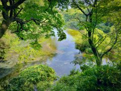 柿田川