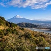 富士市岩渕から望む