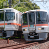313系と特急ふじかわ