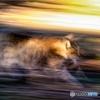 Escape