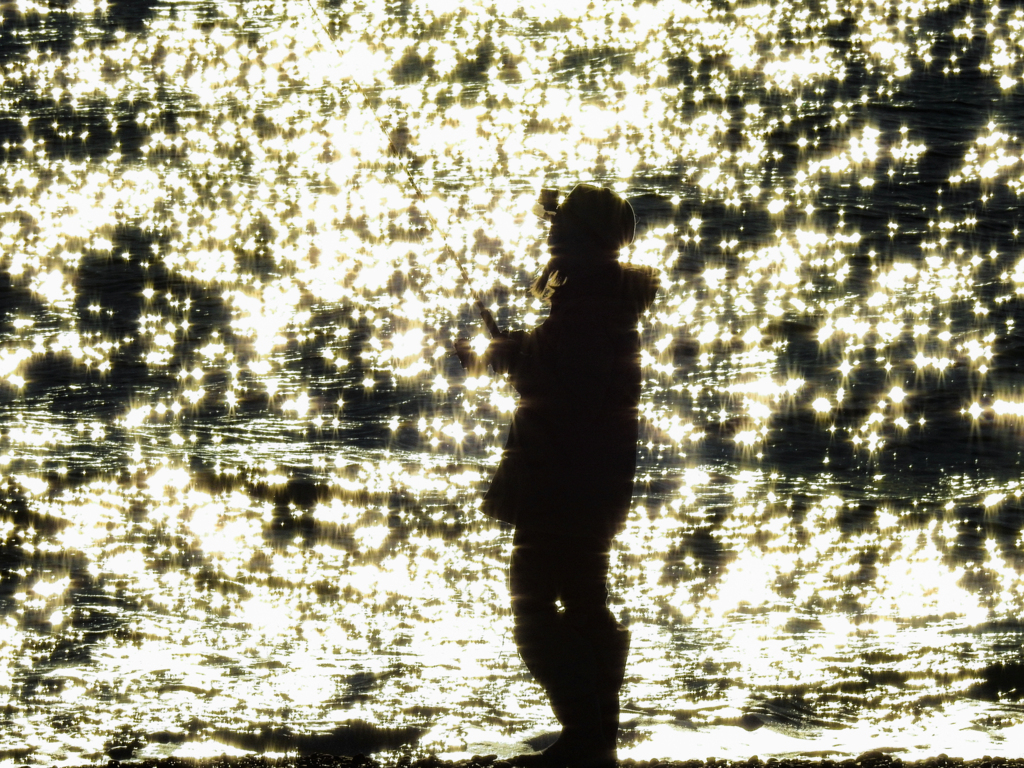 shining angler