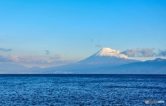 駿河湾に浮かぶ富士山