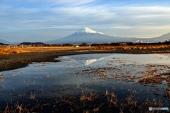 水溜まりの逆さ富士