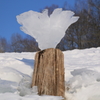 自然の造形「キノコ氷」