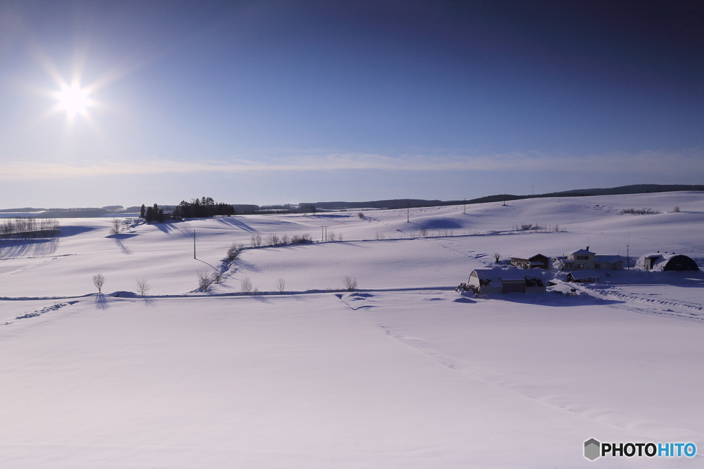 －29℃の風景