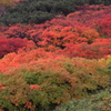 大雪山系 赤岳の紅葉 2014