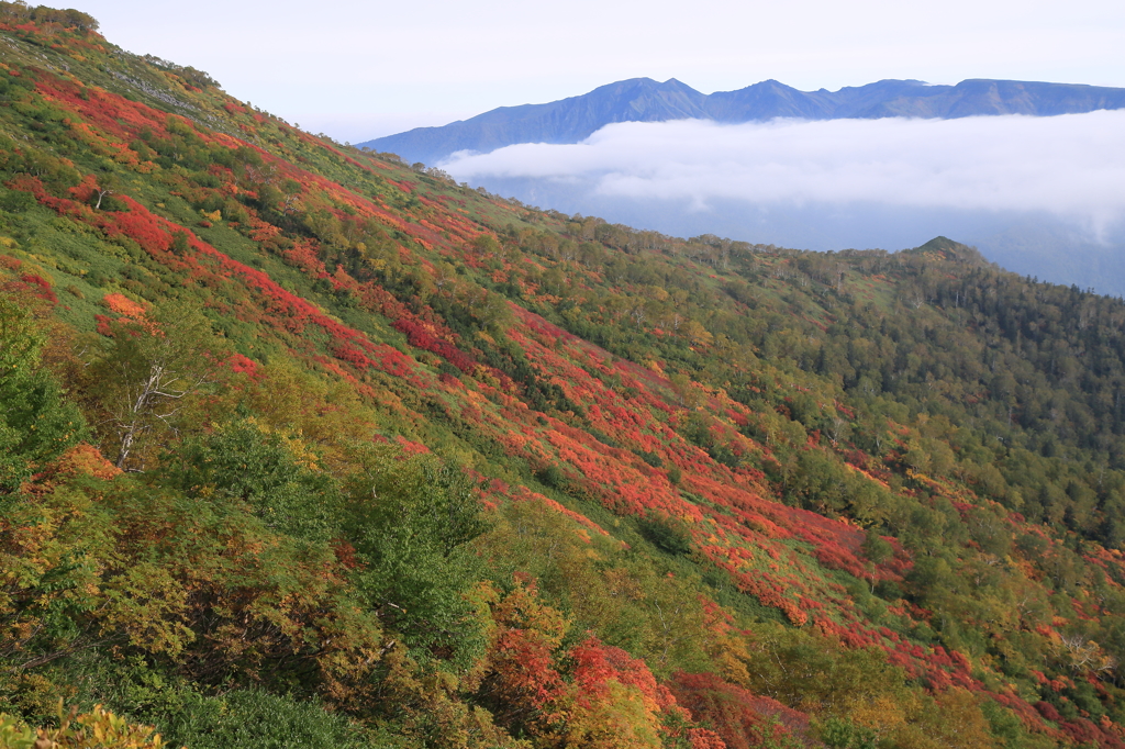 大雪山赤岳の紅葉 2014