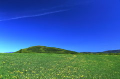 初夏の風景(その2)