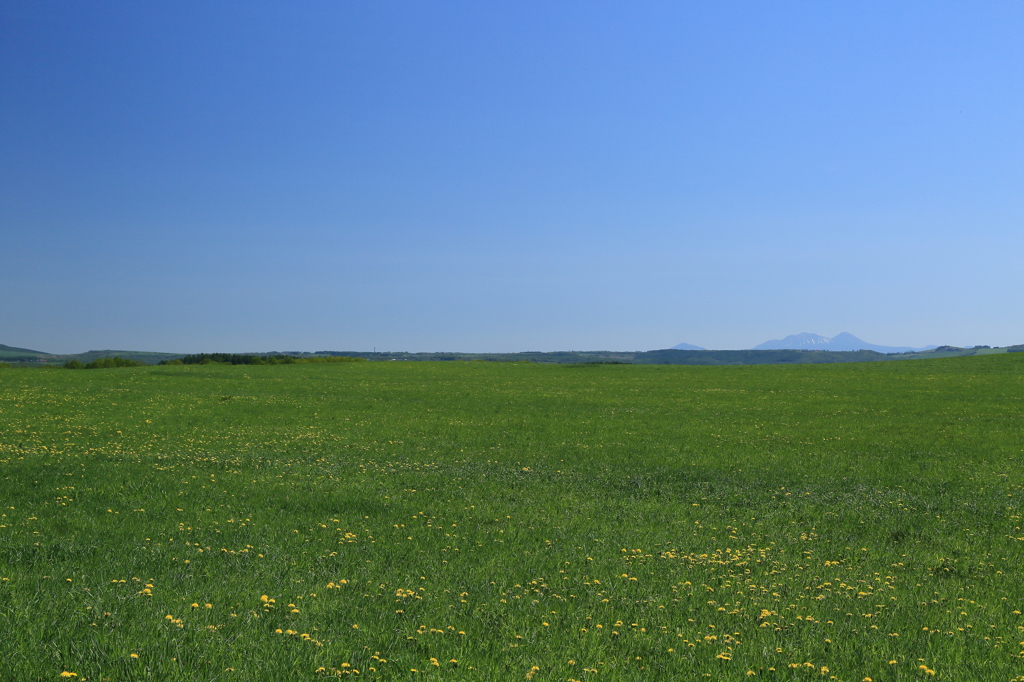 初夏の風景(その3)