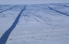 雪のキャンバス