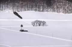 富良野・雪景
