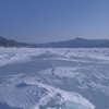 キノコ氷