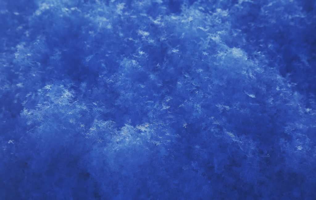 新雪