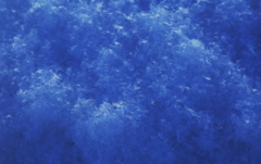 新雪