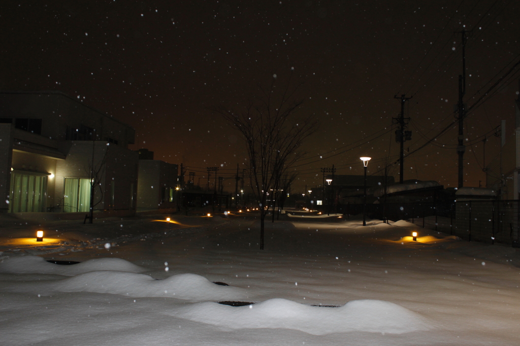 雪のライトアップ！