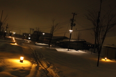 冬の遊歩道