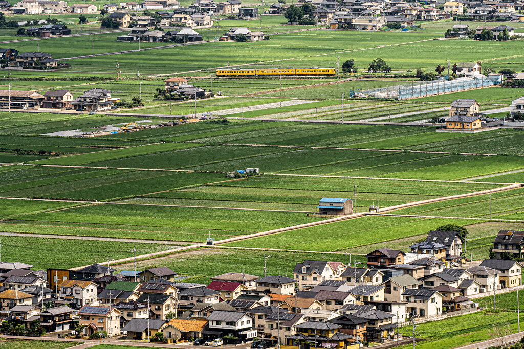 田園