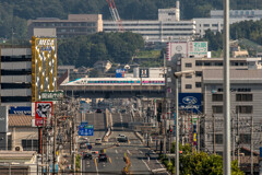 ワンピース! ワンピース!