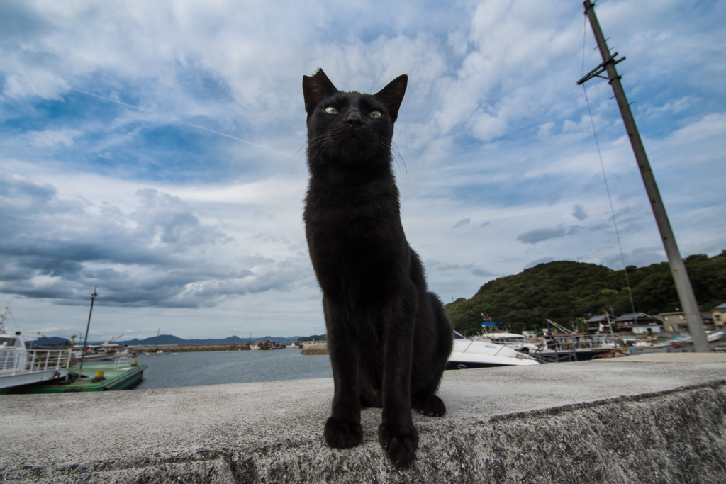 黒いにょろにょろ