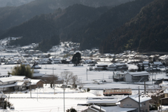 モノクロームな日