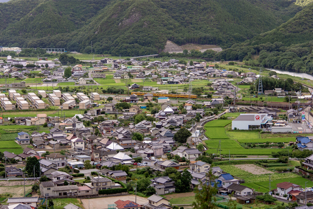 里を走る