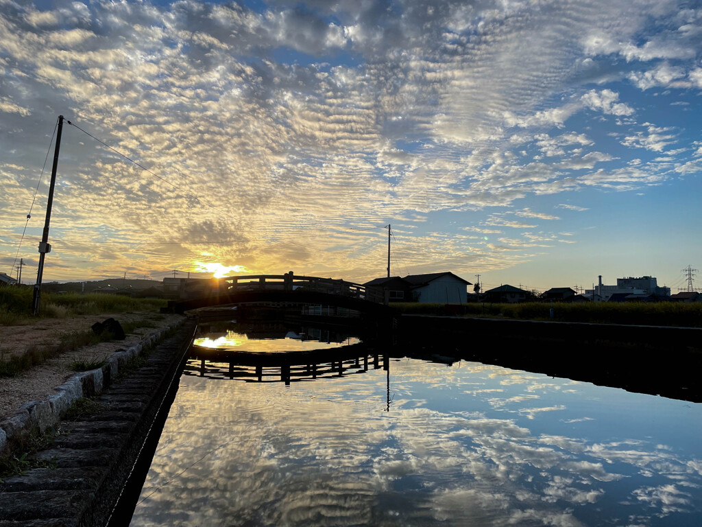 突然ですが、今日の夕焼けです