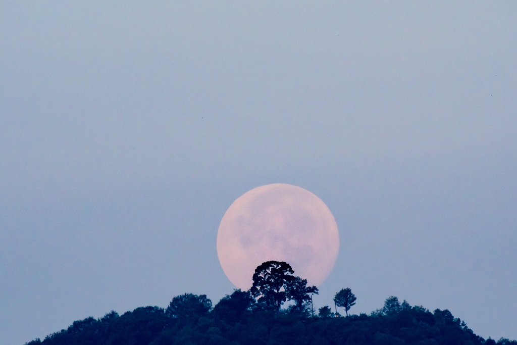 「岐阜城と月」の写真に憧れるのですが・・・