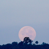 「岐阜城と月」の写真に憧れるのですが・・・