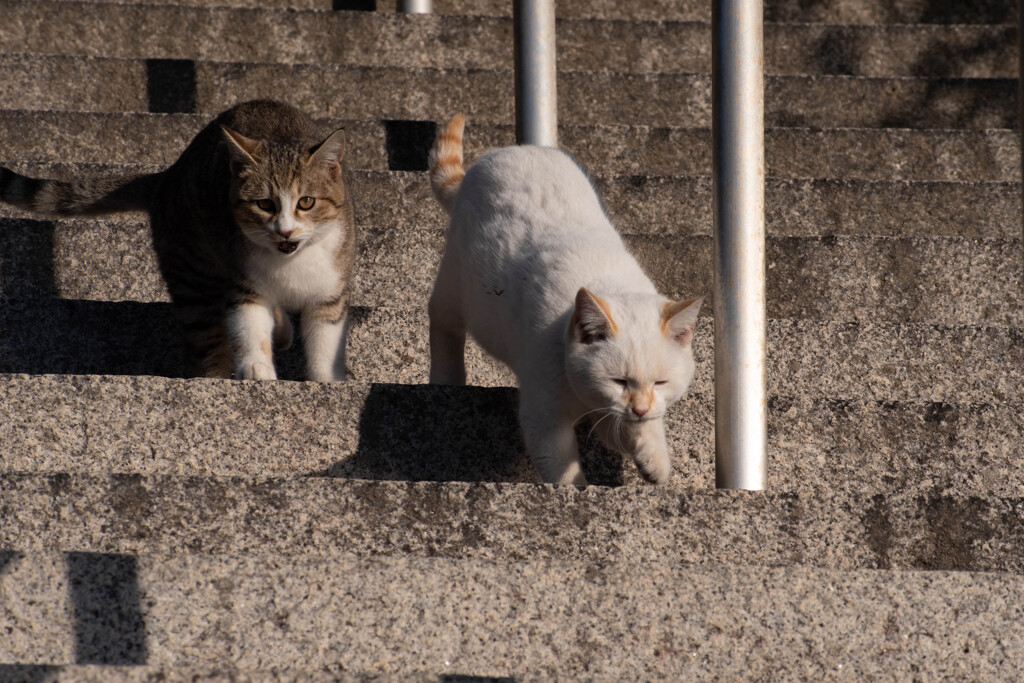 「ごめん、俺下で寝るわ」