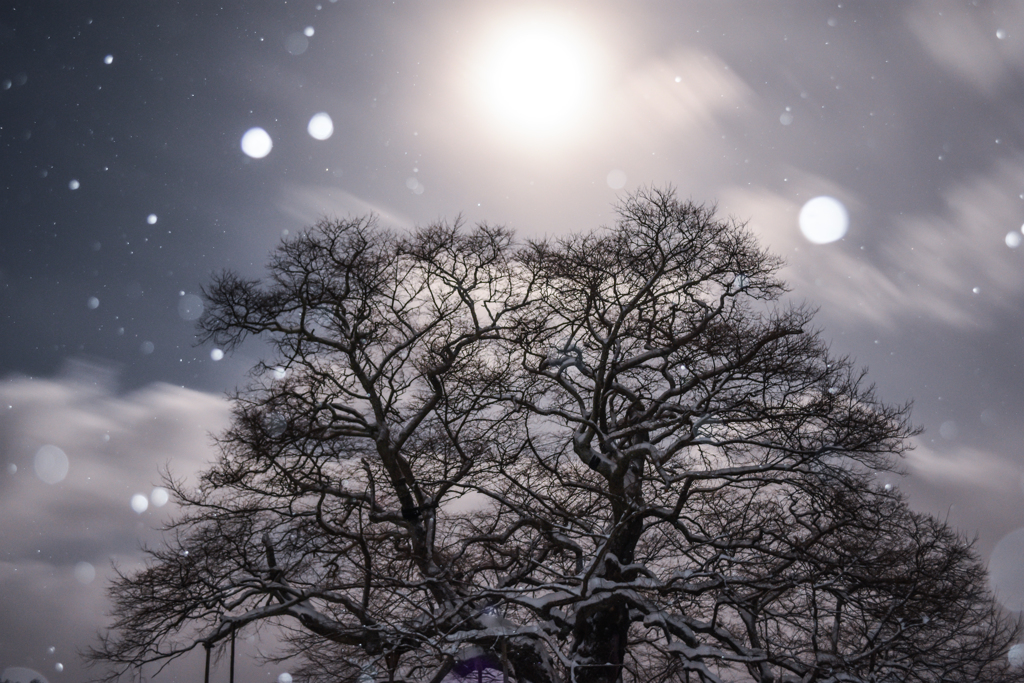 月明かり時々雪