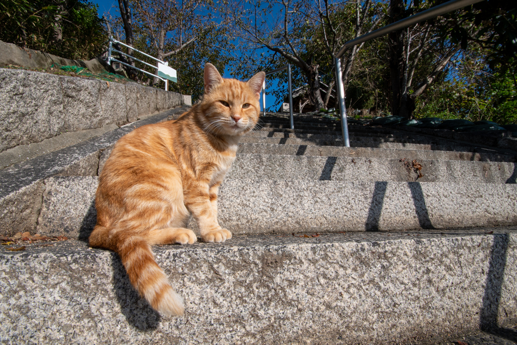 日差しの下で