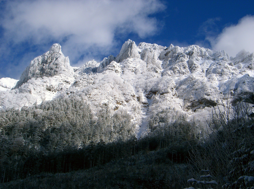 雪の八ヶ岳