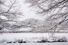 世界はモノクロームに