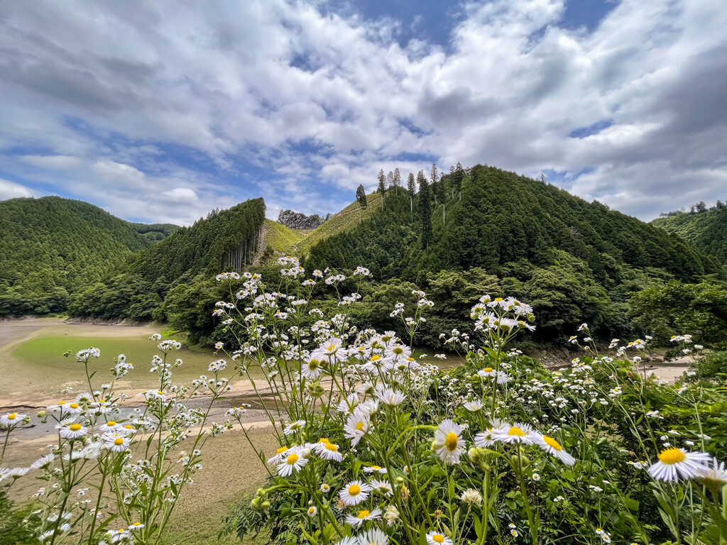 早過ぎる梅雨明け