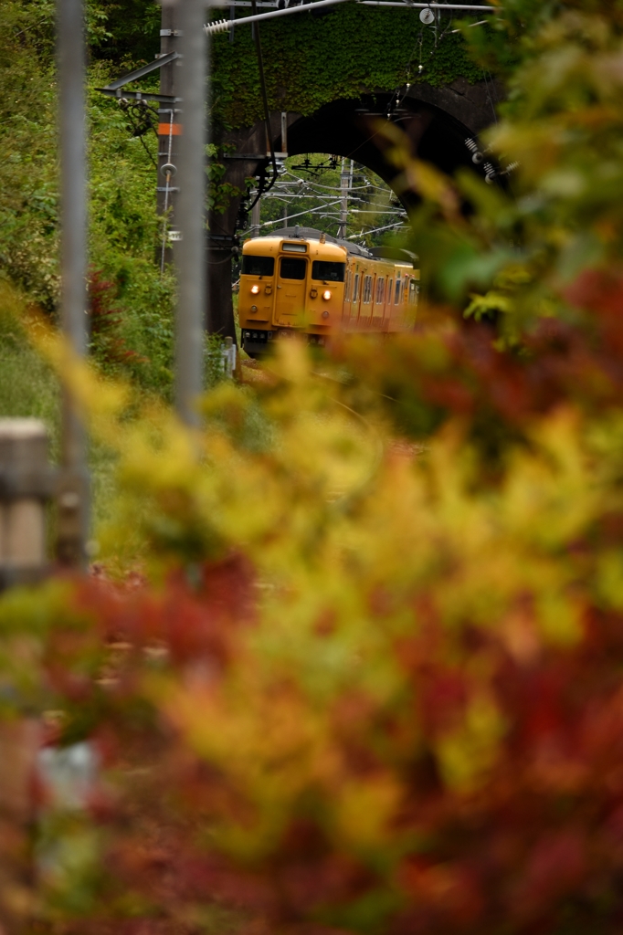 トンネルくぐり　その1