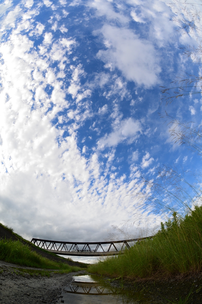 走るローカル鉄道