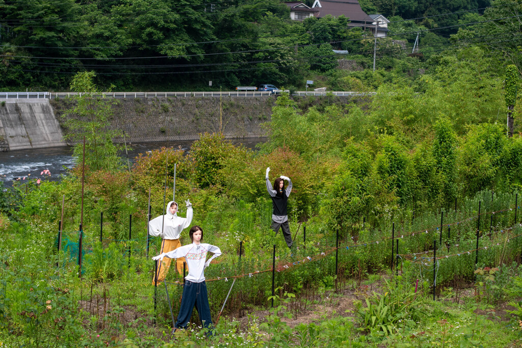 最近流行りの農業女子