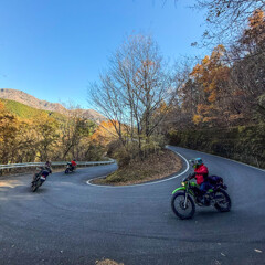 大人のメリィゴーランド