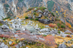 彩のある光景