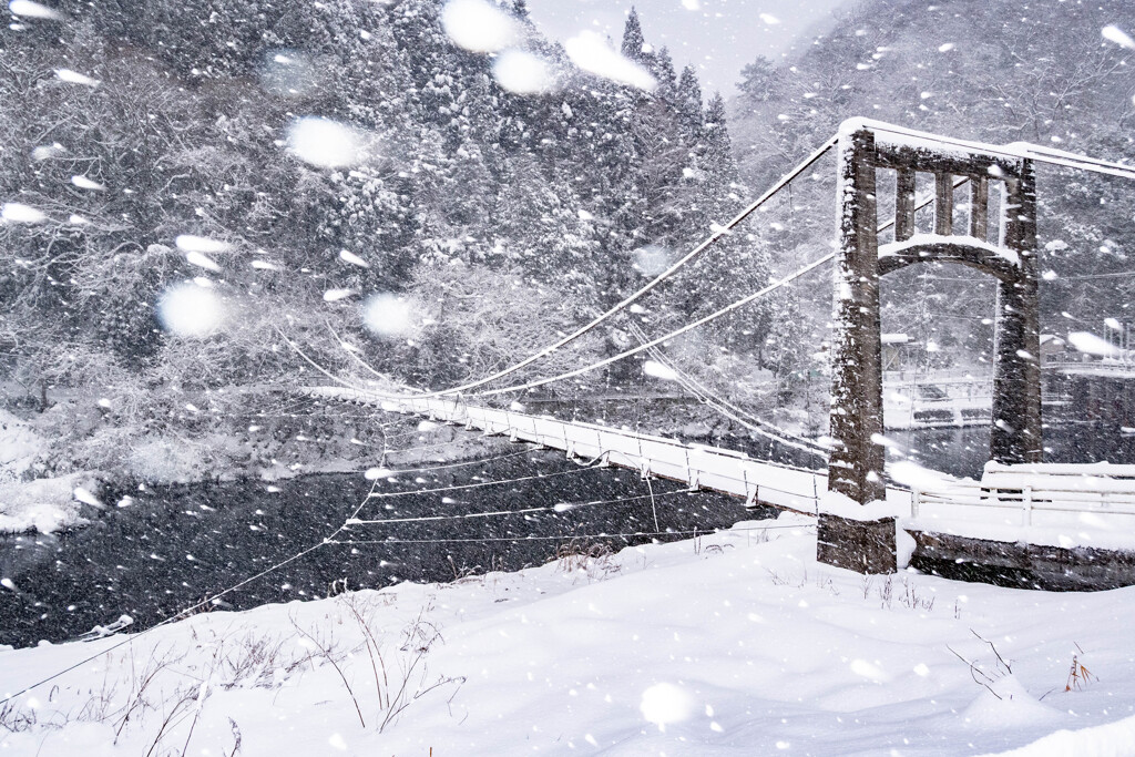 大寒波じゃ〜(><)