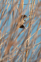 なかなか表には出てこない