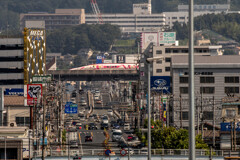 キティちゃん! キティちゃん!