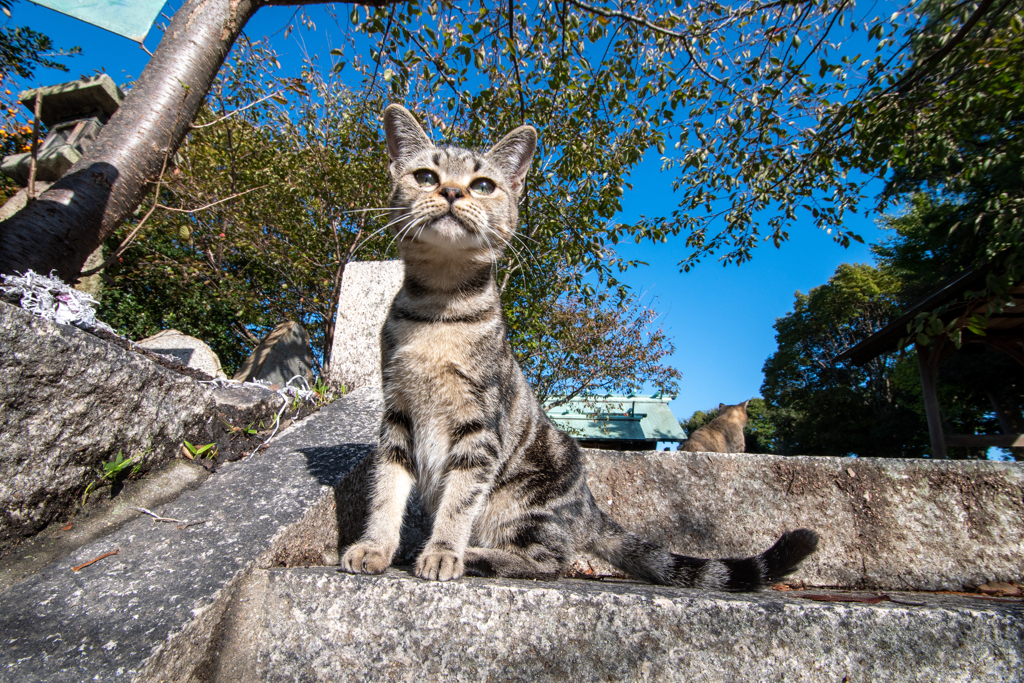 猫背が治りました！