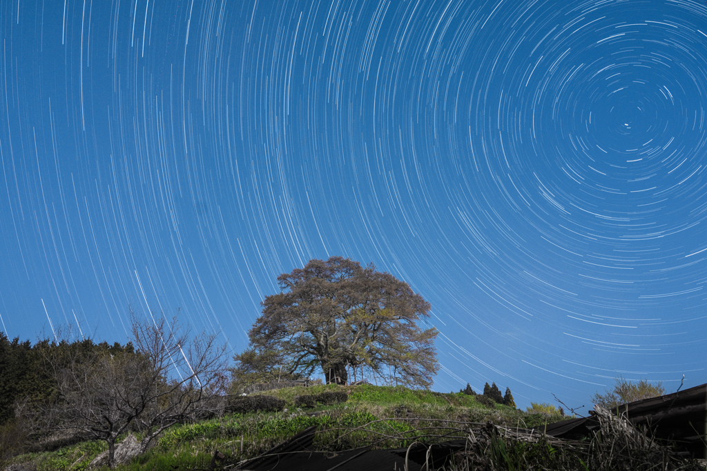 満月なのに星を撮りに行く暴挙に出ました(･_･;)