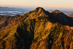 朝の光を浴びて