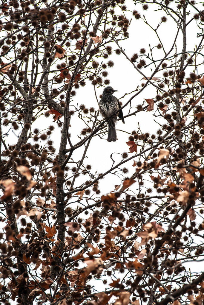 そこにいるという事