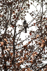 そこにいるという事