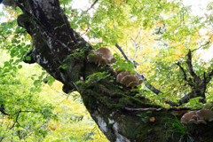 緑あふれる中で